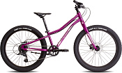 Велосипед Merida Matts J.24 Plus Pro (2023) Purple/BlackChampagne